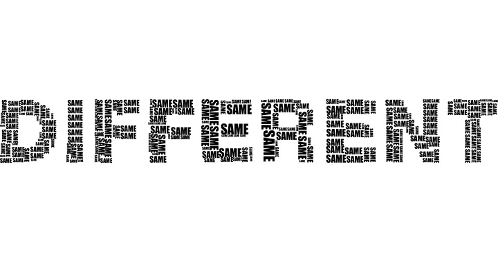 Some Distinctives of Optimus Language School